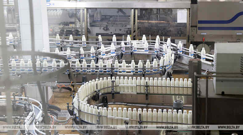 Контроль ценообразования на мясо-молочную продукцию Беларуси